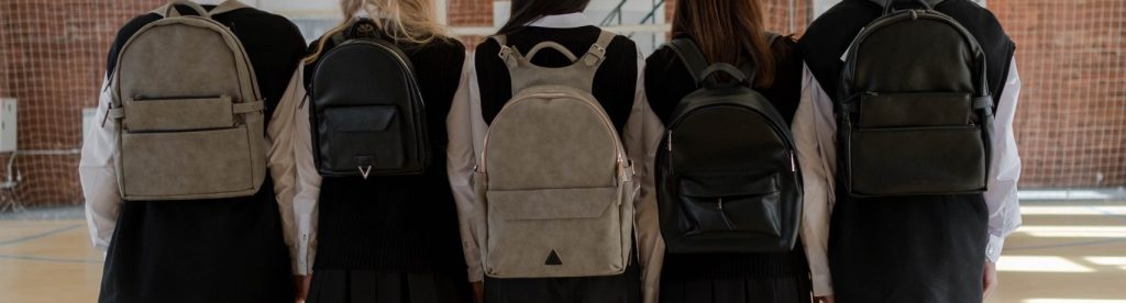 Bags, Backpacks, and Protective Cases - Sage Design Group - Annette Sage, CEO