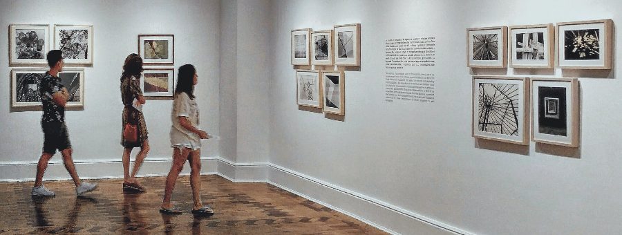 Wall Art - Sage Design Group - Annette C. Sage, CEO - Image by Pexels Wall Art - Sage Design Group - Annette Sage, CEO